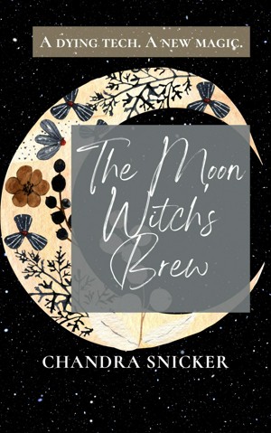 The Moon Witch's Brew