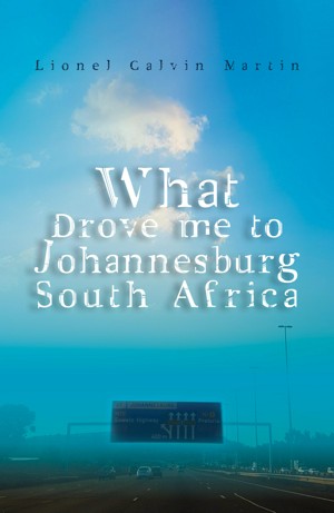 What Drove Me to Johannesburg South Africa