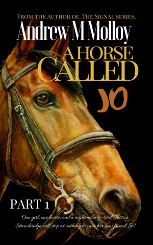 A Horse Called Jo