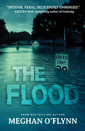 The Flood: A Kidnapping Psychological Crime Thriller