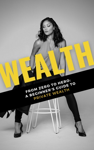 Wealth: From Zero to Hero: A Beginner's Guide to Private Wealth