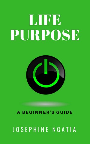 Life Purpose: A Beginner's Guide