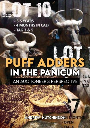 Puff Adders in the Panicum