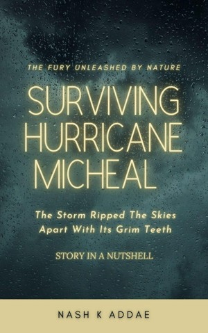 Surviving Hurricane Micheal