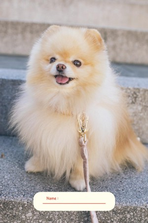 The Pomeranian Notebook: Capture, Create, and Celebrate Your Love for Pomeranian Dogs