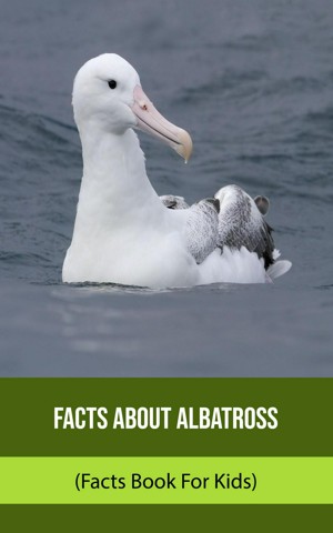 Facts About Albatross (Facts Book For Kids)