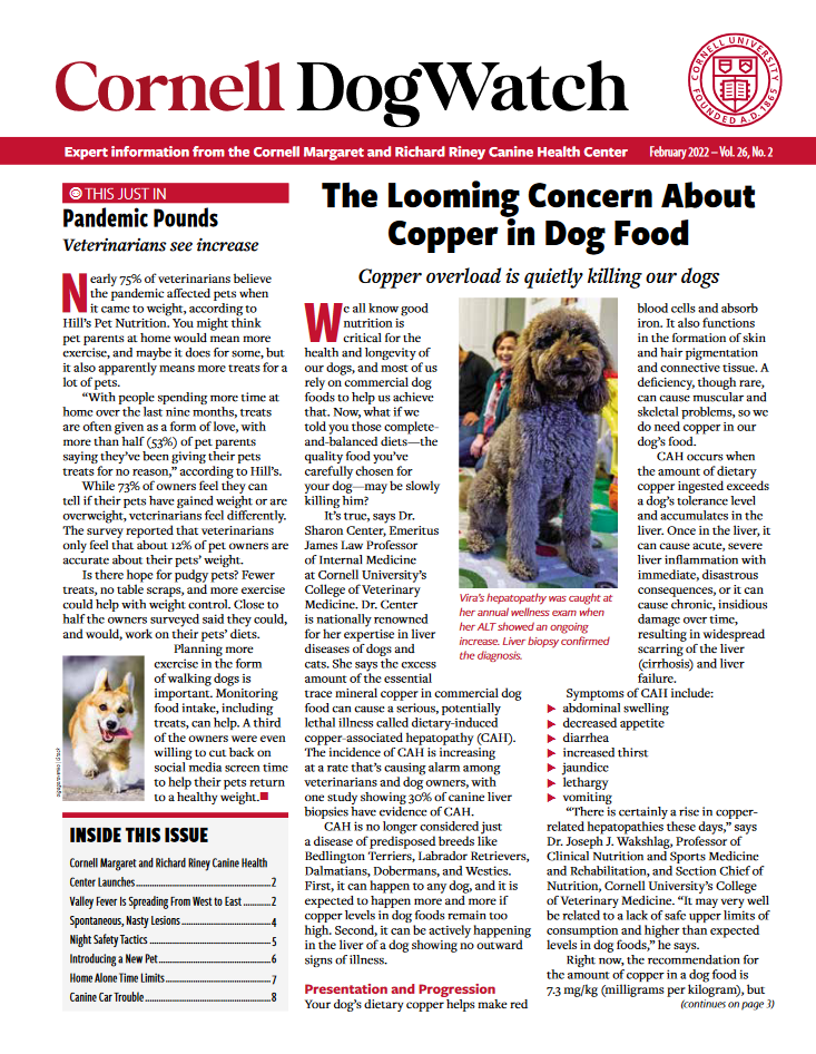 Dogwatch Newsletter 1 Dogwatch Newsletter