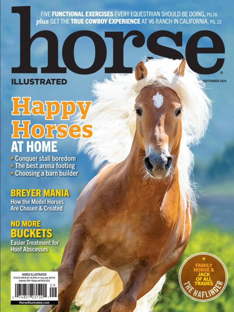 Horse Illustrated Magazine 1 Horse Illustrated Magazine