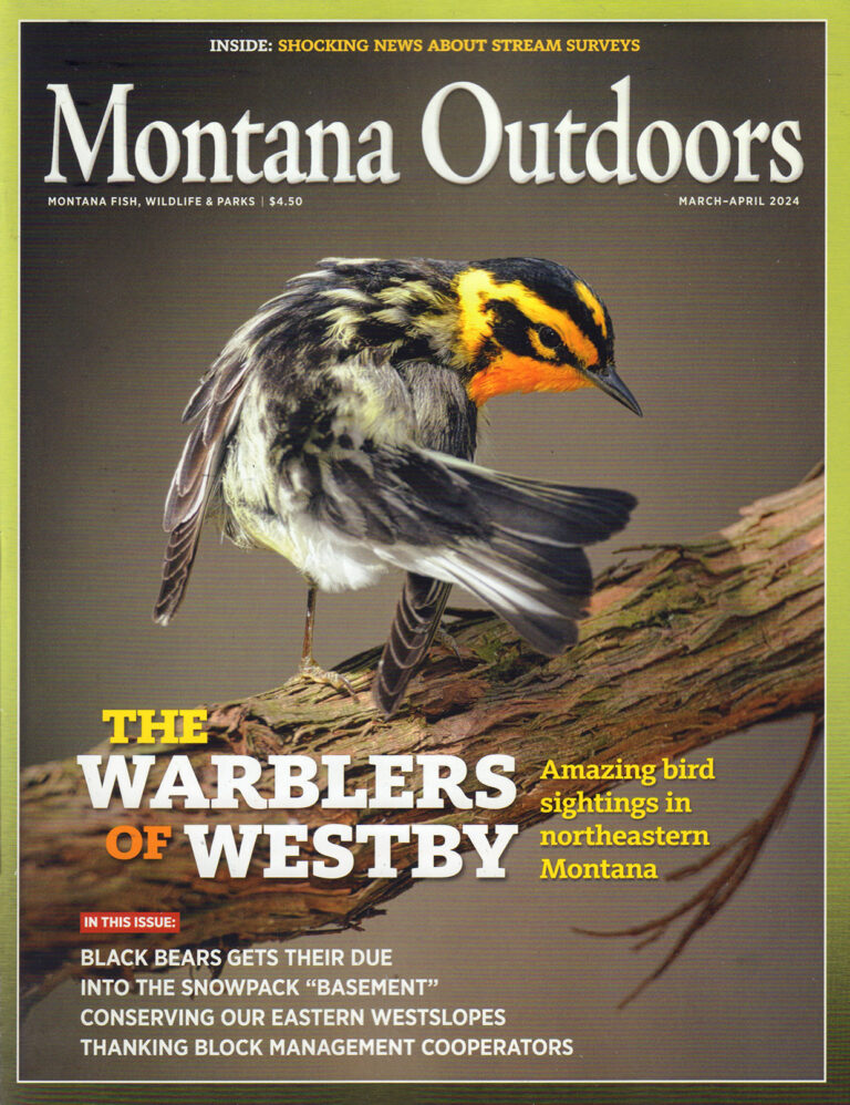 Montana Outdoors Magazine 1 Montana Outdoors Magazine