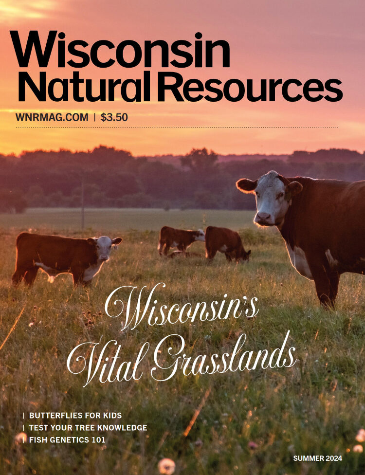 Wisconsin Natural Resources Magazine 1 Wisconsin Natural Resources Magazine